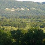 Homesite 197 at The Legends - View The Mayfair on Homesite 197 - Views