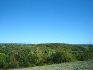 The view from Marlborough Chase