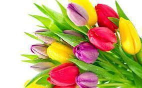 Happy Mother's Day